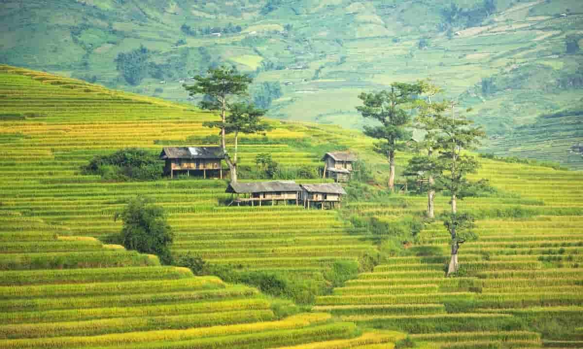 Bali local ecosystems