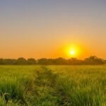 Ubud complete travel guide