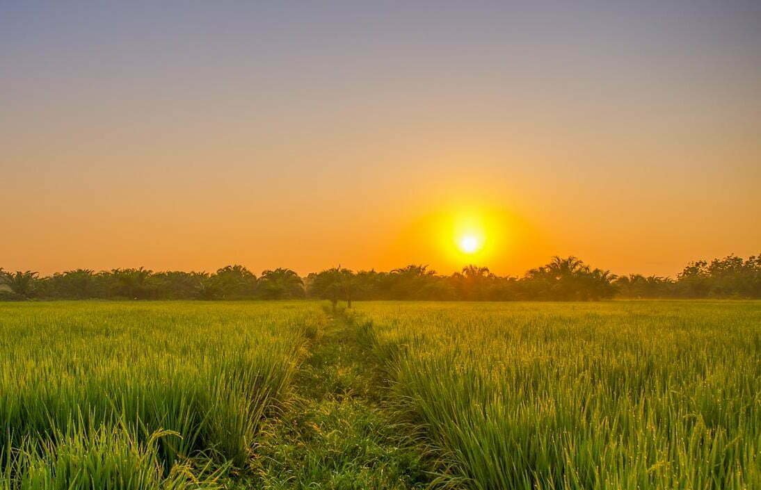 Ubud complete travel guide