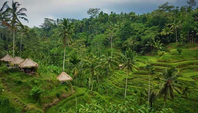 Local sustainability projects in bali