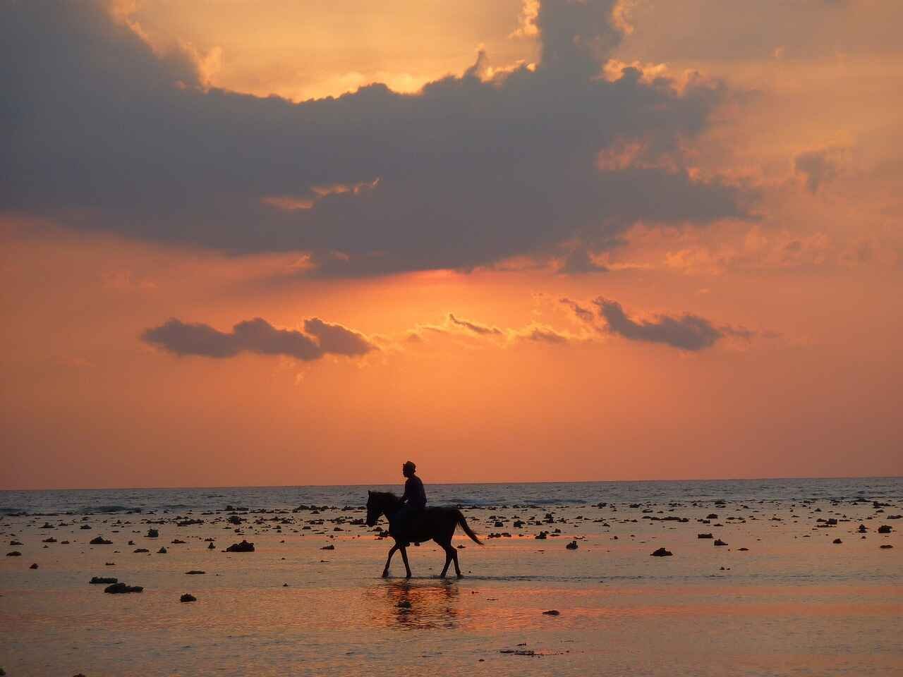 Horse riding in Bali