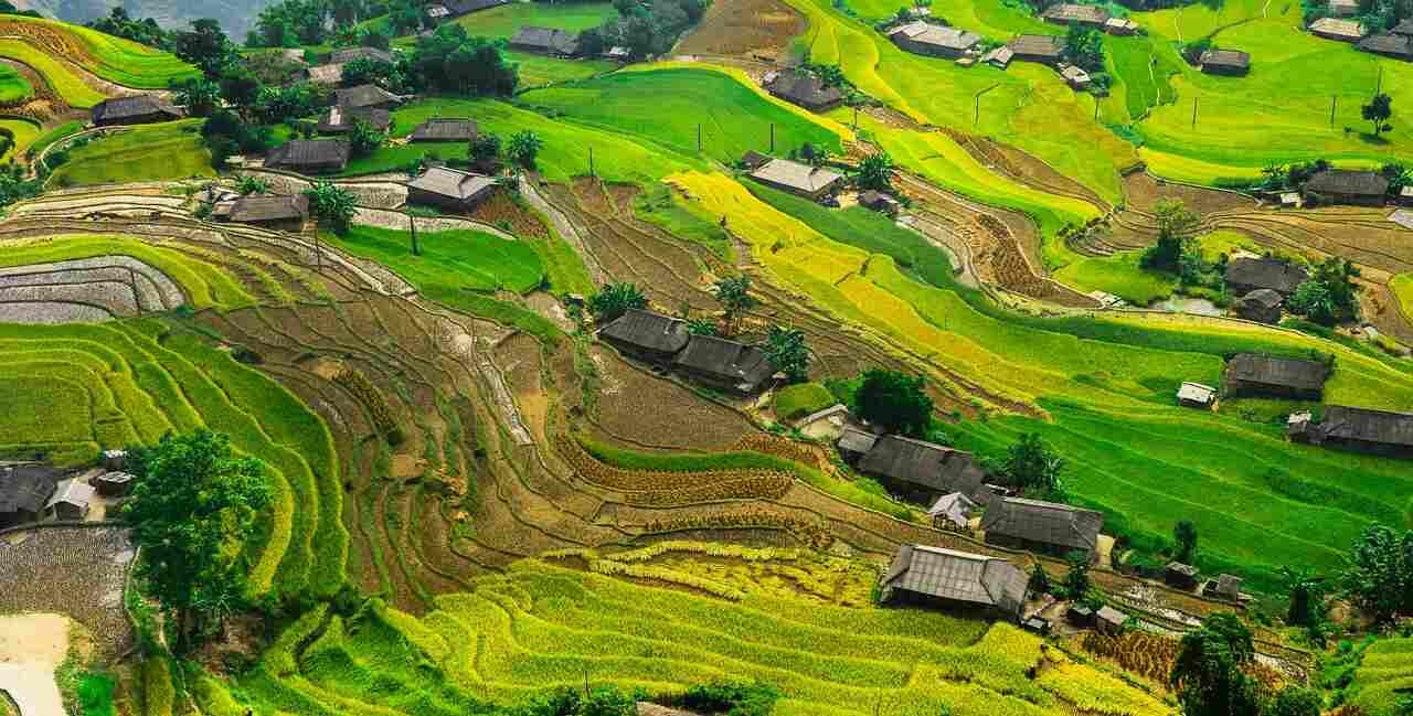 Beautiful villages in bali with paddy fields