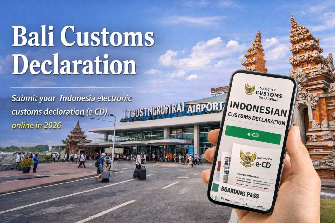 Bali customs declaration online